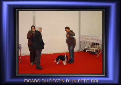 Du destin d'un petit roi - FIGARO (SICILE) première exposition