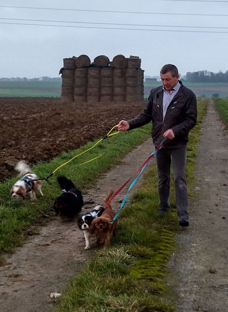 Du destin d'un petit roi - Promenade dans la campagne cet après-midi !