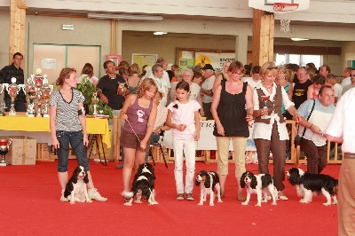 Du destin d'un petit roi - CHAULNES 2009