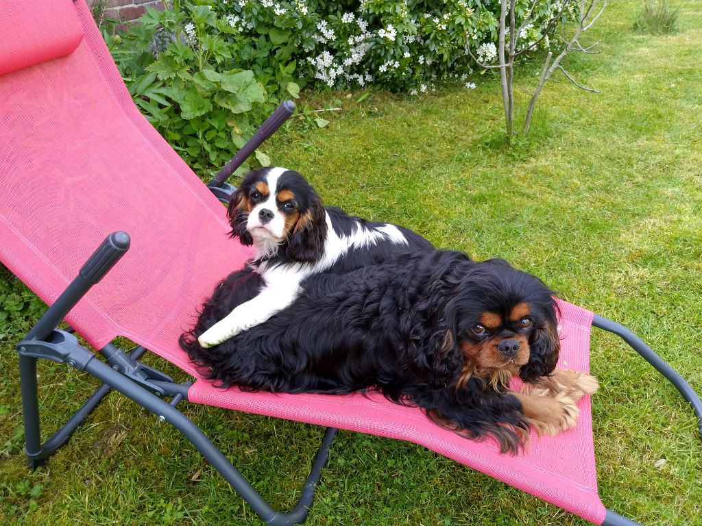 Du destin d'un petit roi - Même transat au soleil pour OCEANE et LENNY !