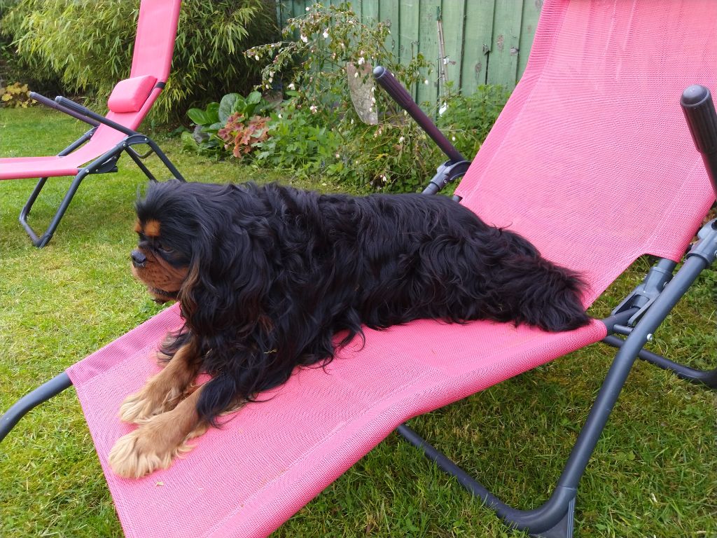 Du destin d'un petit roi - LENNY prends un bain de soleil ! 