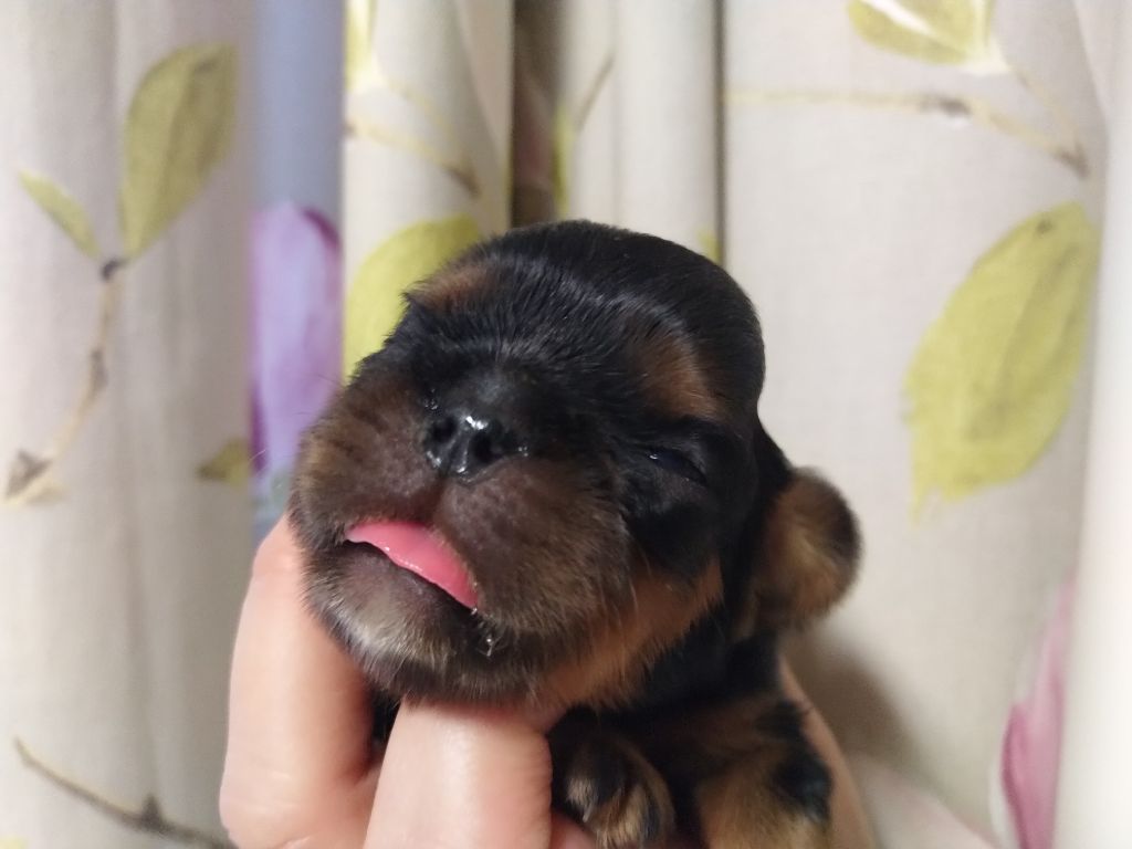 Du destin d'un petit roi - Premier bébé ouvrant les yeux !