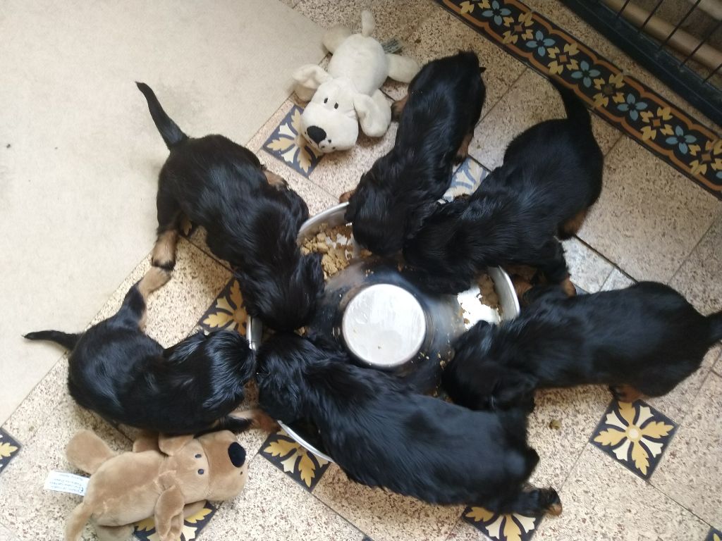 Du destin d'un petit roi - Repas également pour les bébés de MINERVE !