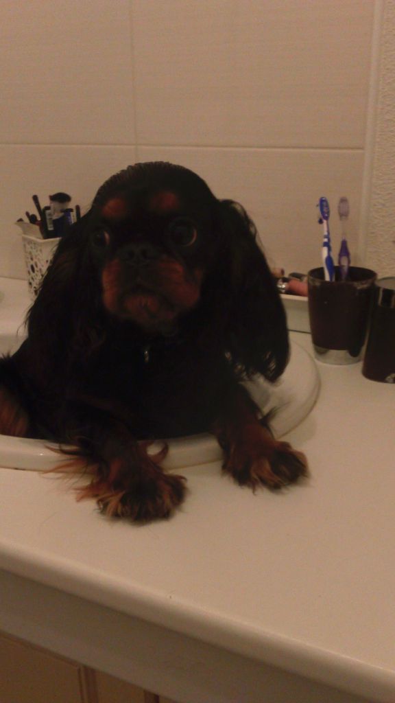 Du destin d'un petit roi - OSIRIS est prête pour le petit bain !