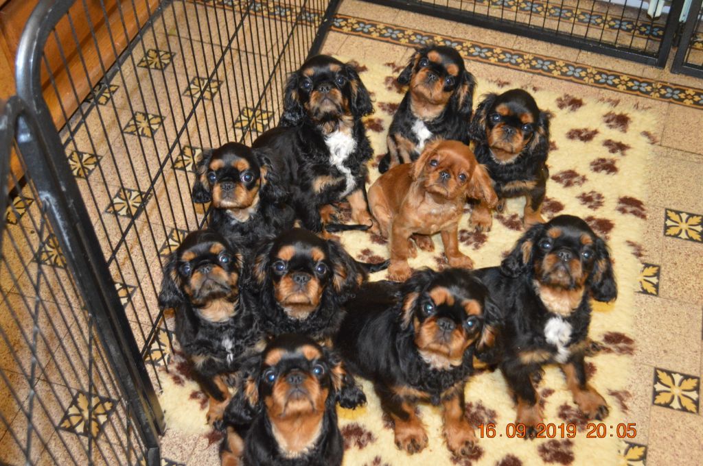Du destin d'un petit roi - Photo de groupe des bébés !