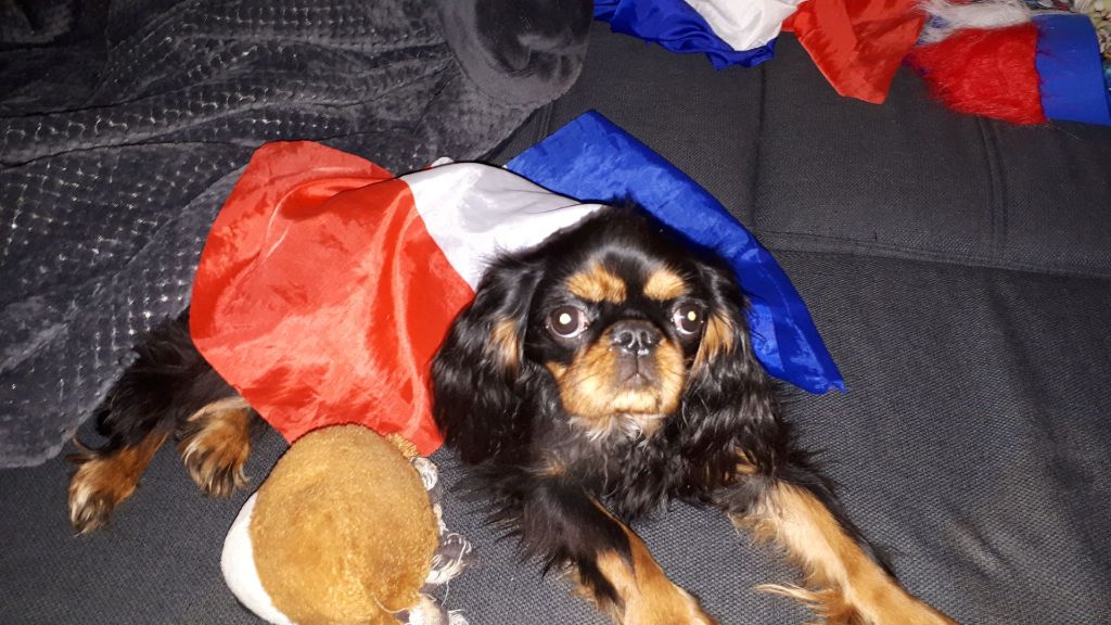 Du destin d'un petit roi - OLIE, jolie supportrice des bleus !