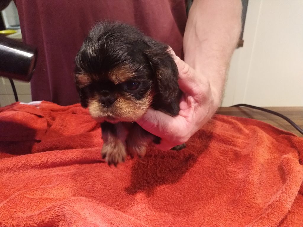 Du destin d'un petit roi - 1er bain pour tous les bébés hier !